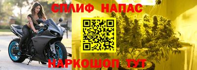 PSILOCYBIN Гагарин