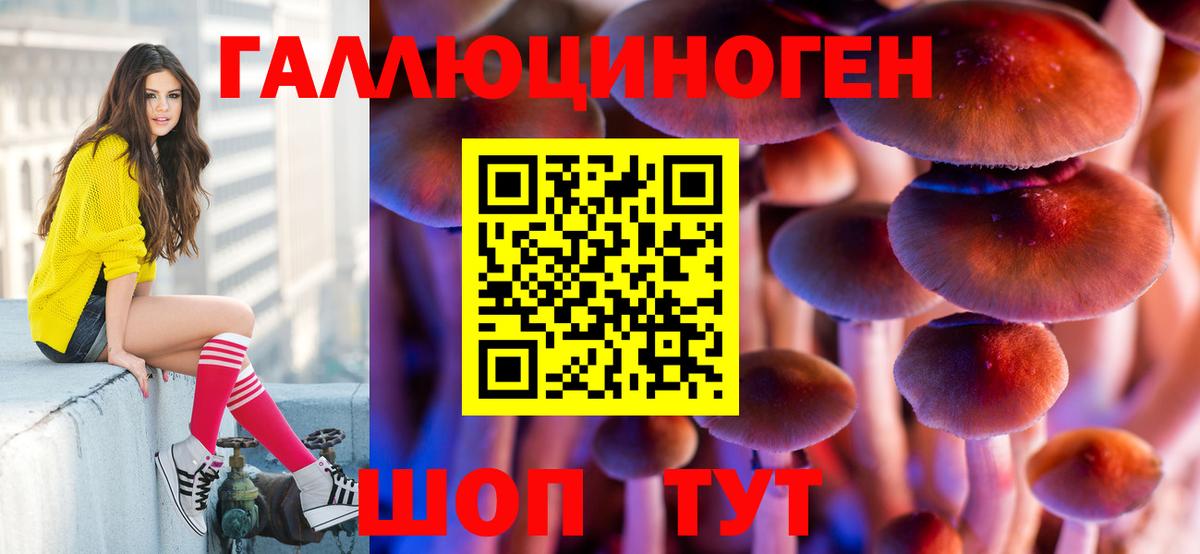 Галлюциногенные грибы мухоморы Кулебаки